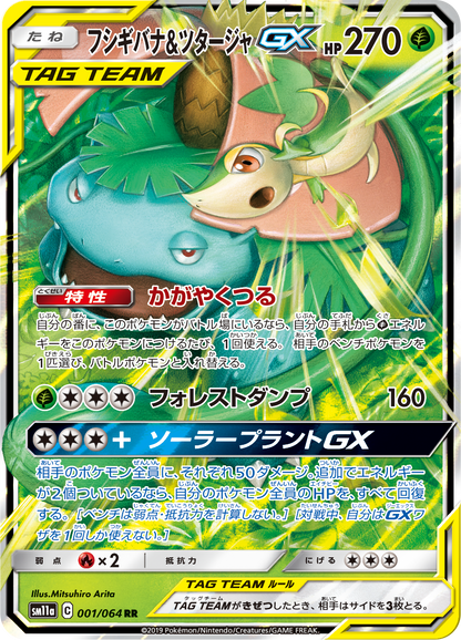Snivy & Venusaur GX
